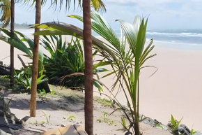 Licuri Praia de Algodões